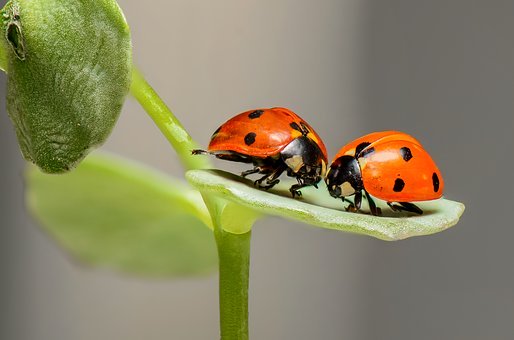 久留米市の学習塾、久留米まなび舎で土日も勉強しよう