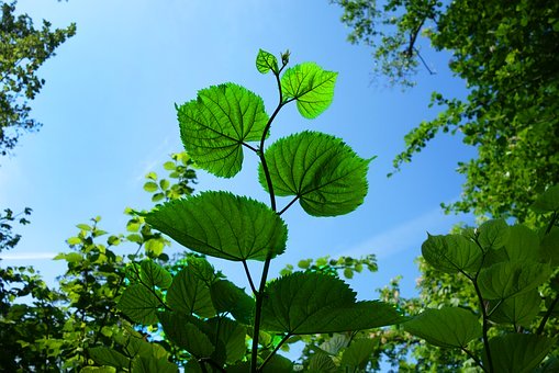 久留米市の学習塾　久留米まなび舎で学習習慣を付ける